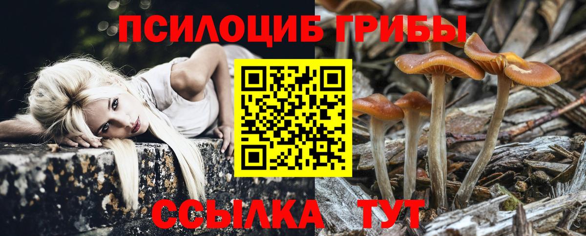 Галлюциногенные грибы Psilocybe Лиски